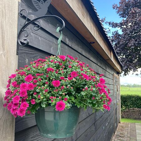 Вилла De Barg Vinkenbuurt Экстерьер фото